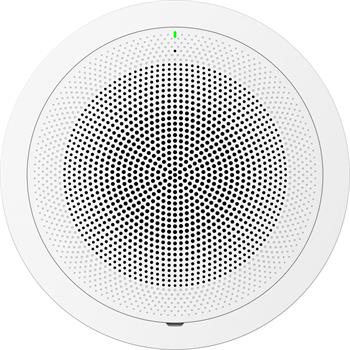 Grandstream GSC3506_V2, SIP/Multicast speaker, 30W